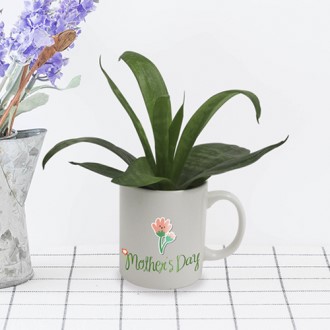 ���� ����� ������ ȭ�� 