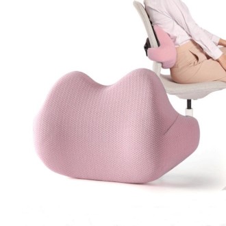 EL ��ü���м��� �㸮��ȣ���� CEH384