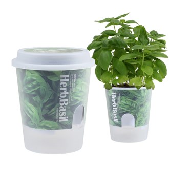 �׷ο� ���� ���� ���� �̴� ȭ�� - ������