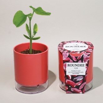 ���� ȭ�� ����-������ (�μ� ��ǰ) 