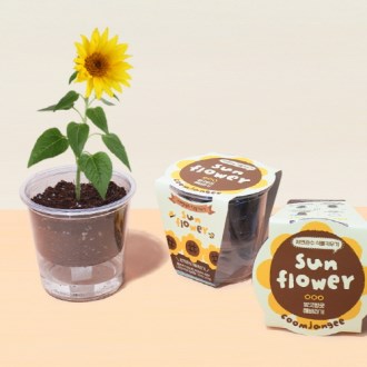 ������� �Ĺ�Ű���-�عٶ�� (�μ� ��ǰ) 