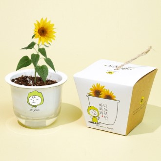 �׸��йи� �Ĺ�ŰƮ-�عٶ�� (�μ��ǰ) 