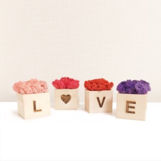 ���� ��� ��ĭ��Ƹ� ���� ȭ��