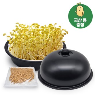 ������ �ᳪ��/���� ���� + ������ ����