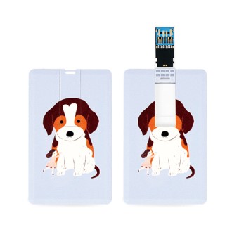 �������丮�� ī���� USB3.0�޸� 16GB