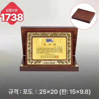 �Ϲ� ���� 1738