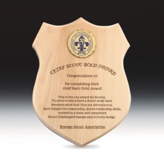 ���� ���� ���� �������� ���� �۰��� SW-002-01