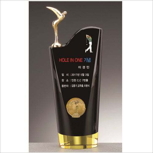 ���� ����������� Ʈ����