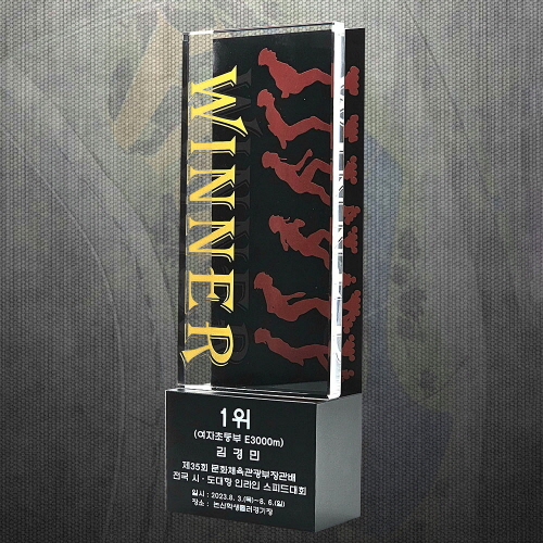 ������� ���� ���� ��������� DS12-14-2